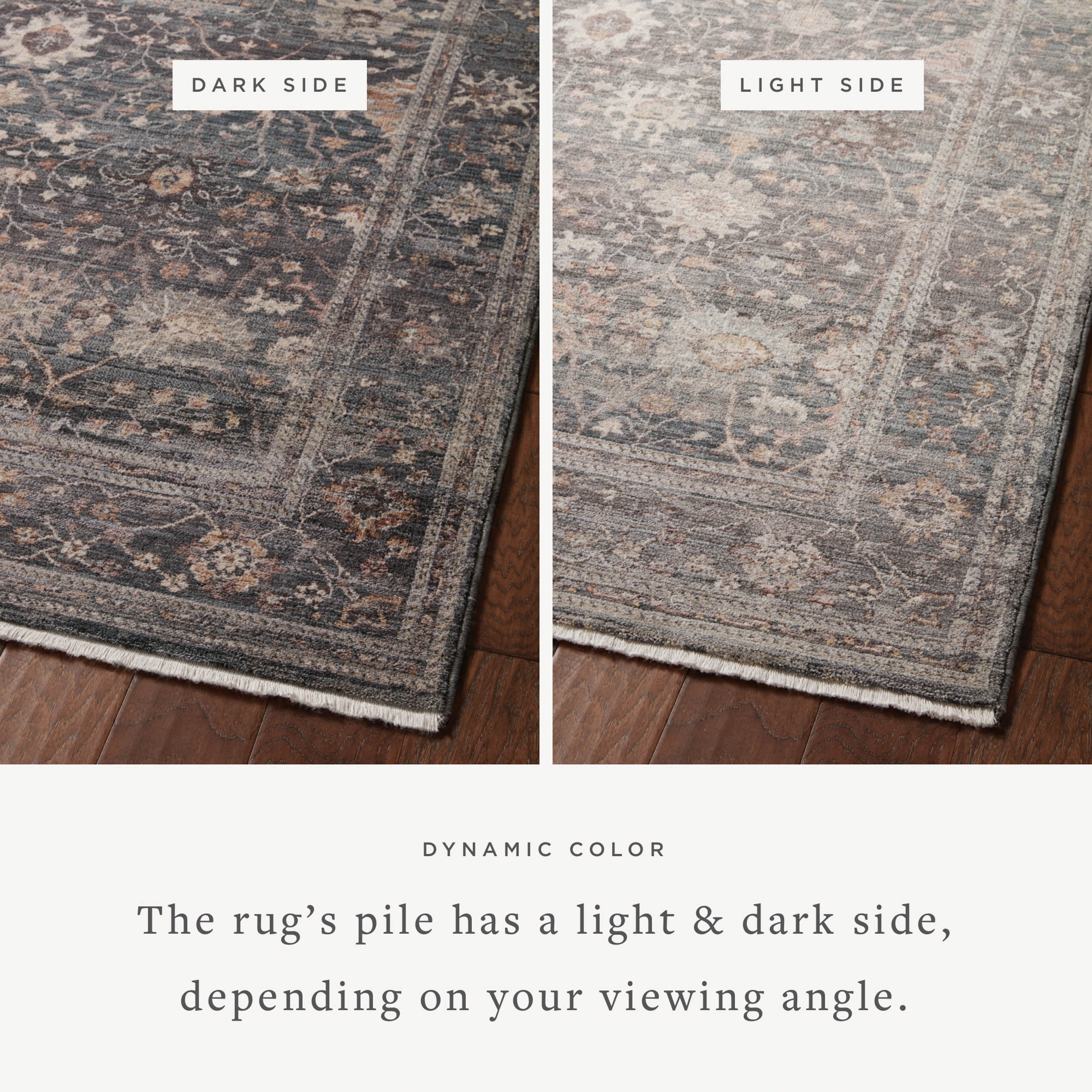 Alexander Home Lynda Vintage Botanical & Floral Area Rug