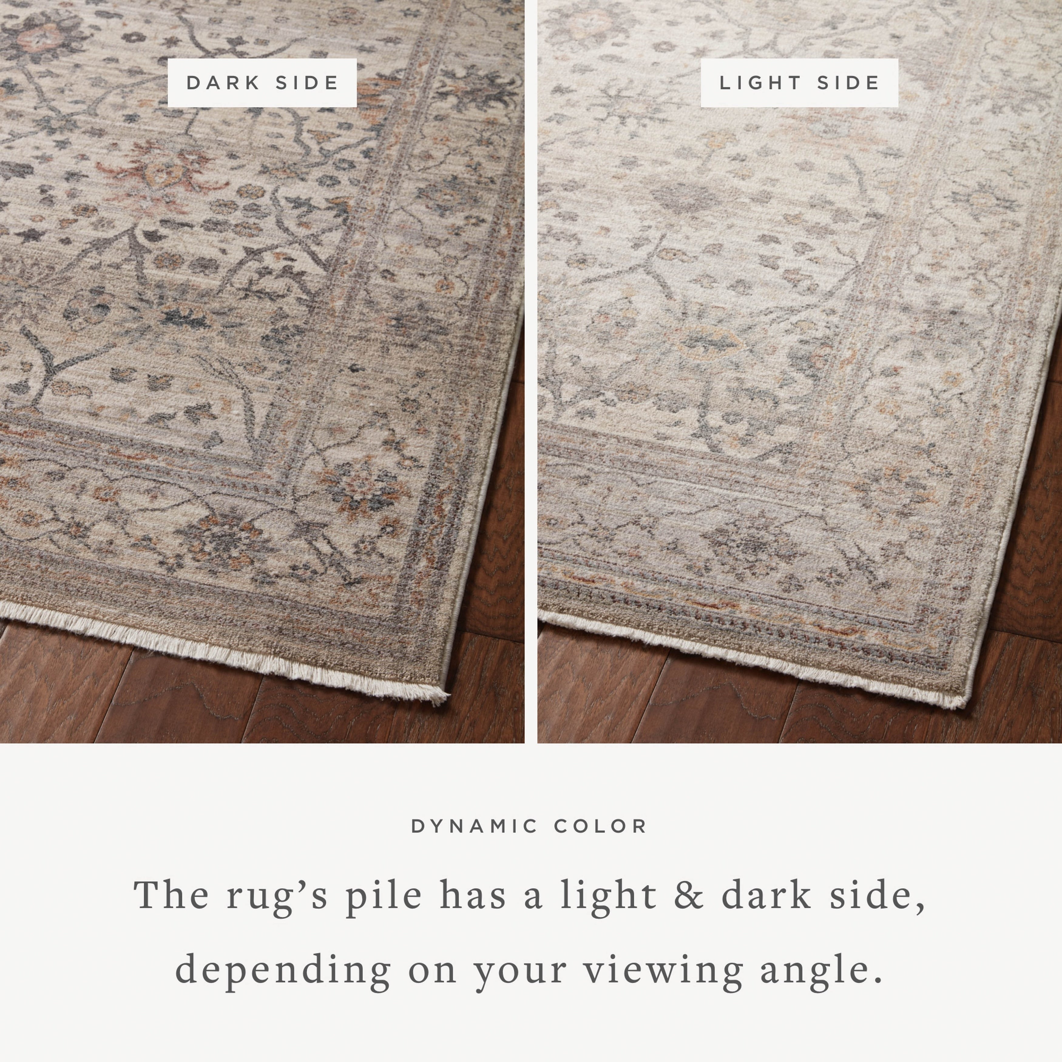 Alexander Home Lynda Vintage Botanical & Floral Area Rug